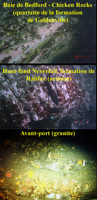 Photographies du fond marin du port montrant les trois types de substratum que l’on y trouve