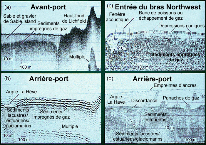 Quatre profils de réflexion sismique du port d’Halifax