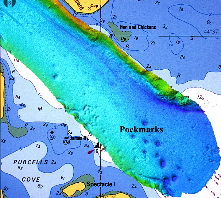 multibeam bathymetric image from the entrance to the Northwest Arm