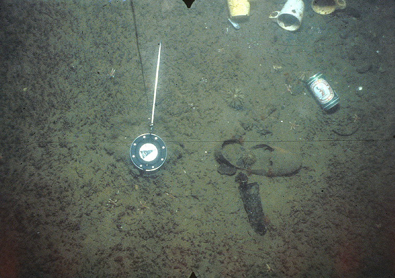 photograph of mud in the inner harbour and typical discarded material on the seabed