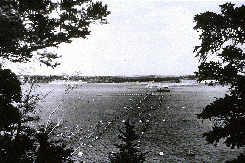 photograph of the anti submarine nets