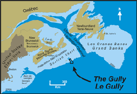 The Gully