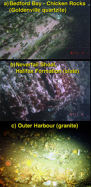 photographs of the three bedrock types