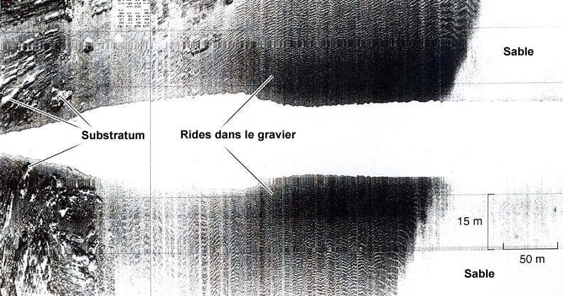 Image sonar à balayage latéral de la partie extérieure du port d’Halifax