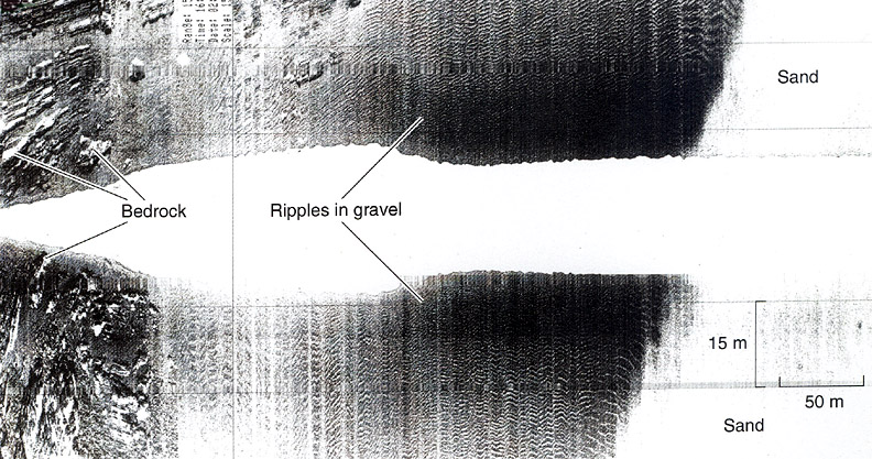 sidescan sonar image of the outer part of Halifax Harbour