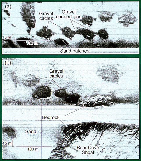 Sidescan sonar images of the seabed in the outer Harbour