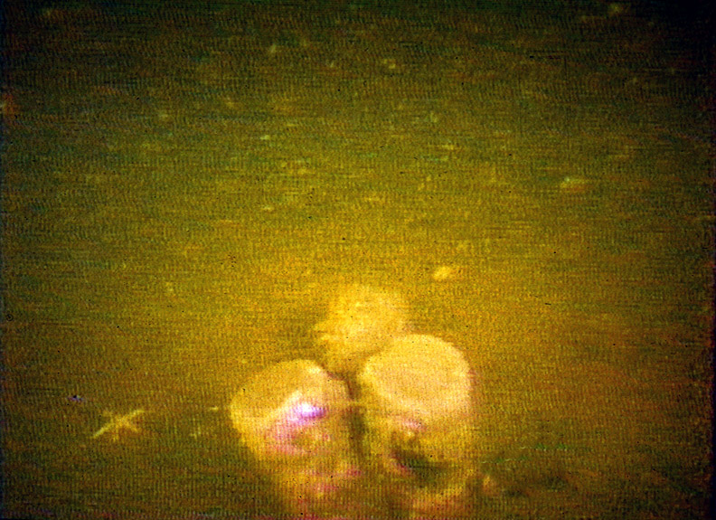 photograph of 3 bottles in the bottle collector hole