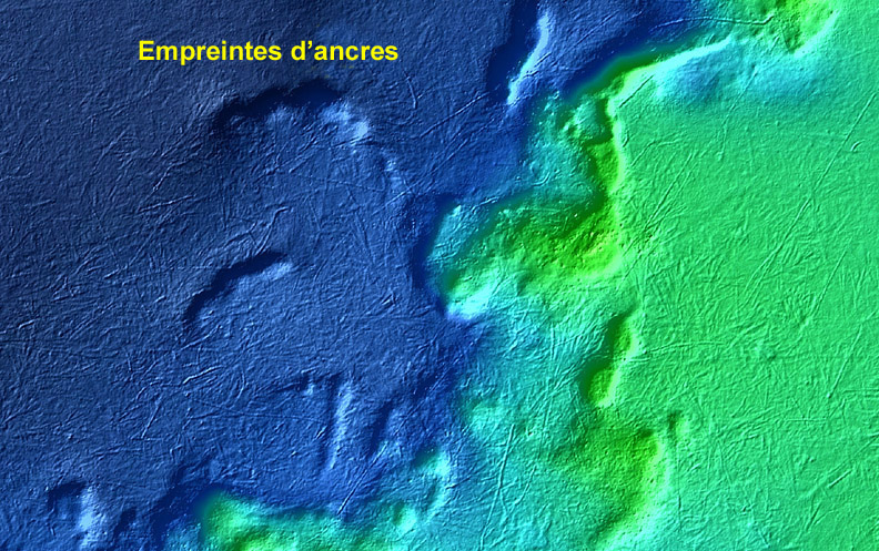 Image de bathymétrie multifaisceaux de la partie centrale du bassin de Bedford montrant de nombreuses marques d’ancre sur le fond marin