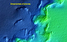 Image de bathymétrie multifaisceaux de la partie centrale du bassin de Bedford