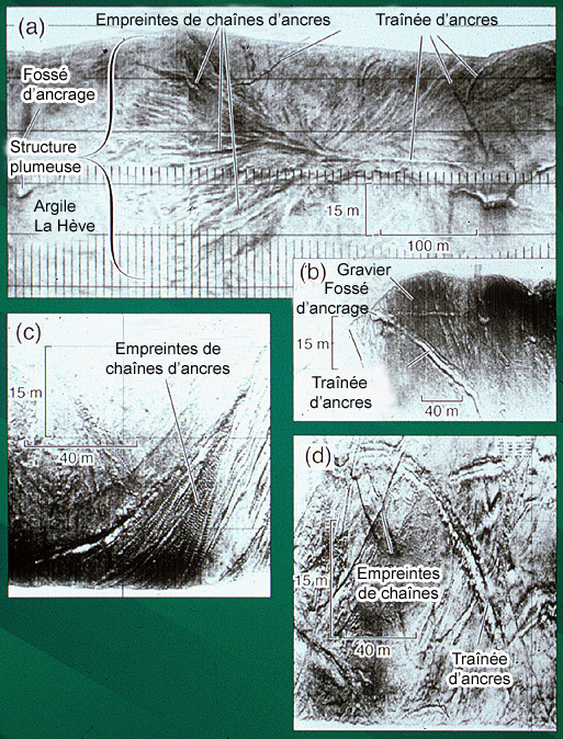 Images sonar à balayage latéral du fond marin du port d’Halifax montrant diverses marques formées par le mouillage des navires