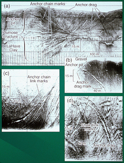 Sidescan sonar images of Halifax Harbour