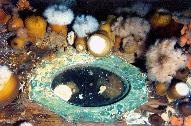 photograph of the wooden hull of the Havana