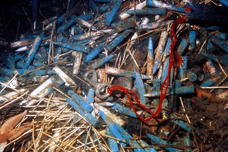 photograph of unexploded ordnance